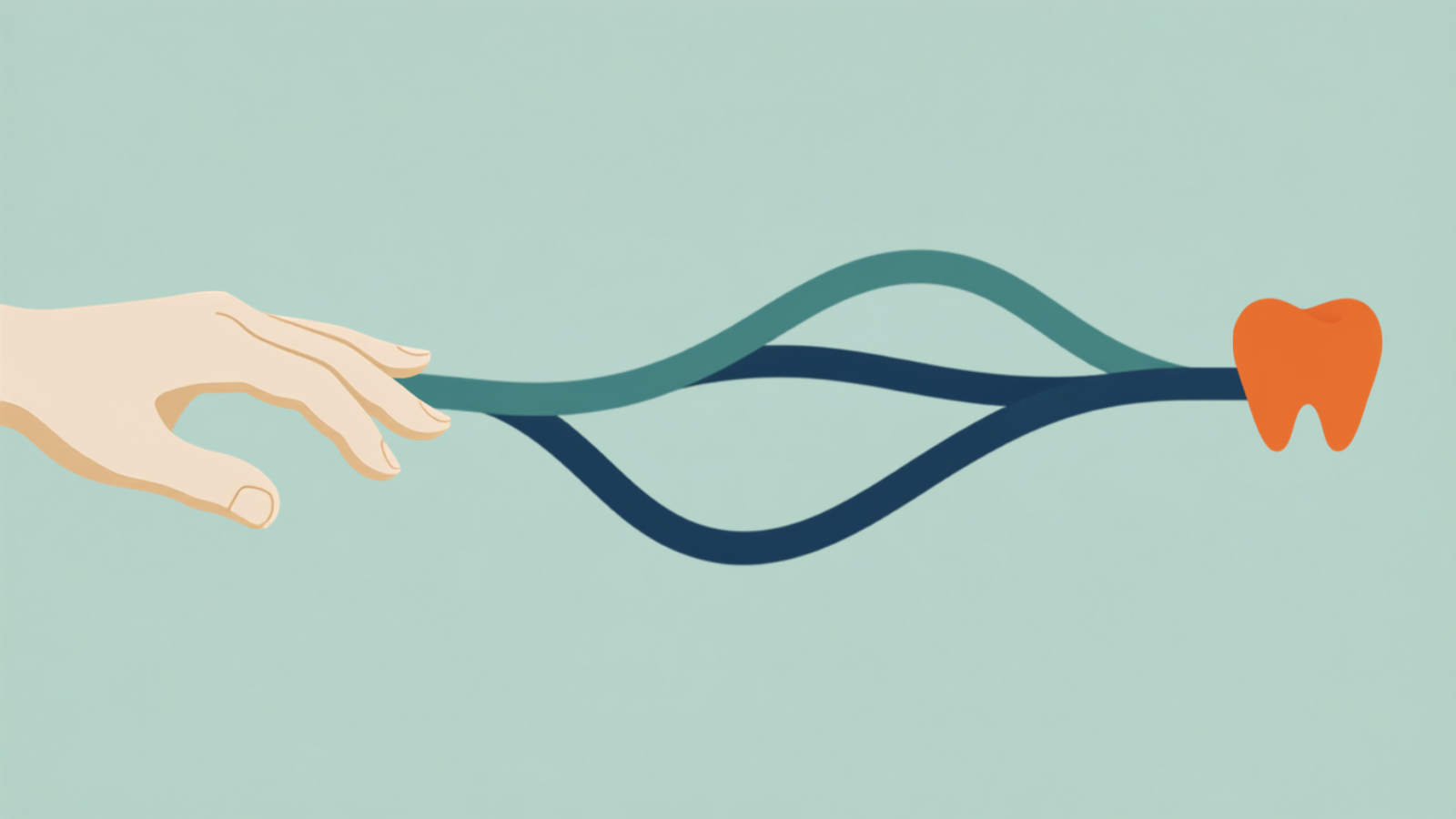 Illustration of a hand holding three woven paths that all lead to a single tooth