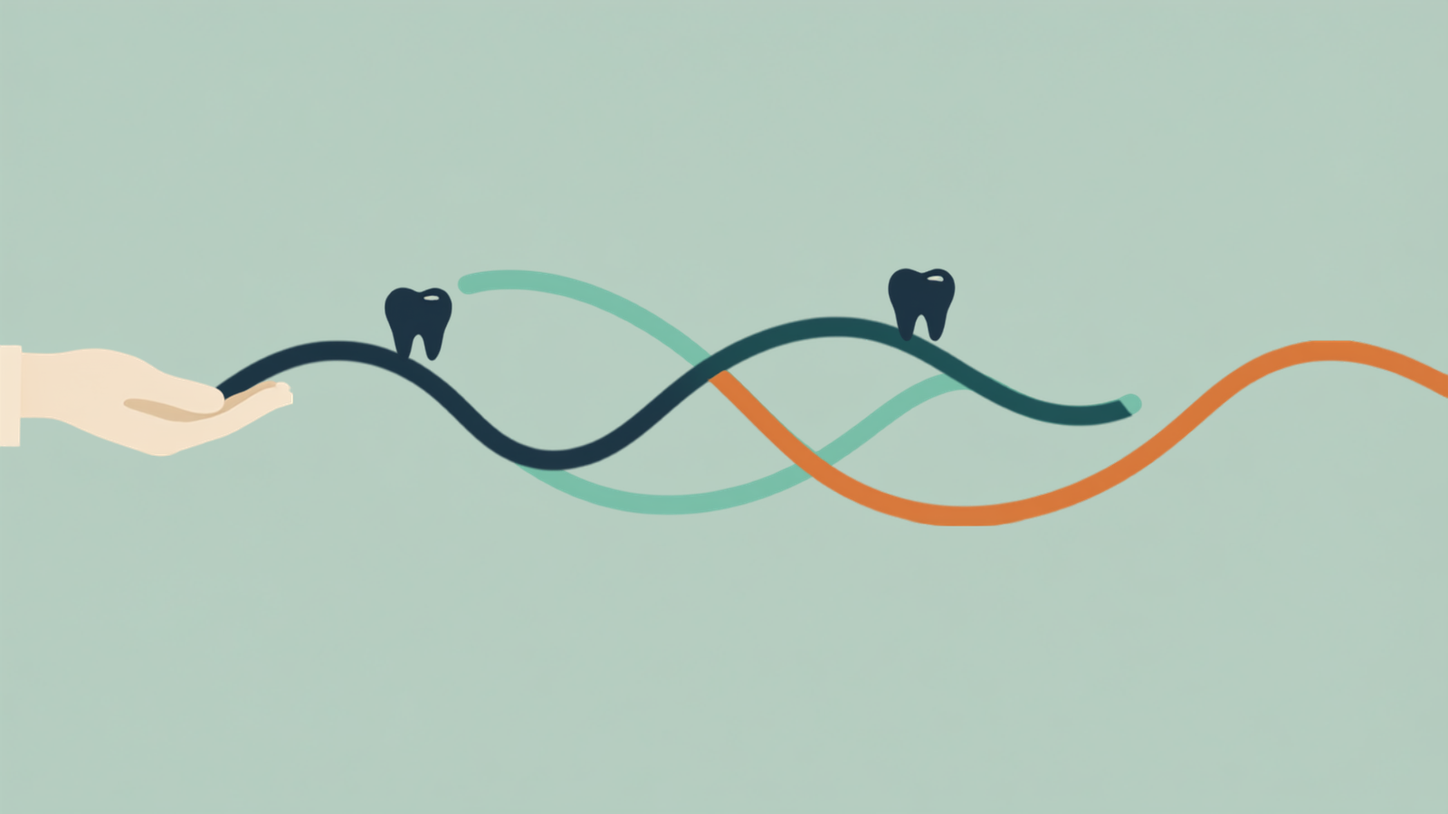 Illustration of a hand holding several woven paths that each lead toward a single tooth